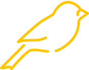logo_yellow_outline